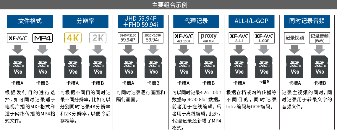 同时记录不同格式