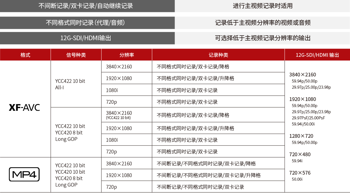 同时记录不同格式